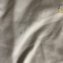 バスパンの画像