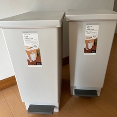 【早い者勝ち】ニトリ　45L ペダル式ゴミ箱