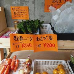 葉ワサビ