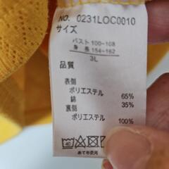 【無料で差し上げます😀】カットソー大きいサイズ3Lの画像