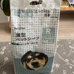 ペット用シート🐶レギュラー
