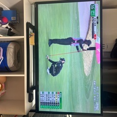 テレビ