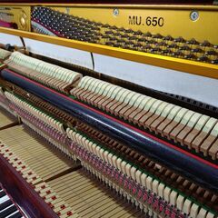 アポロ　MU650【倉庫在庫の玉石混交から良品厳選/未整備現状渡し】APOLLOの画像