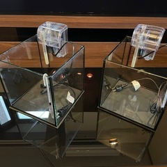 水槽　フィルター　水温計