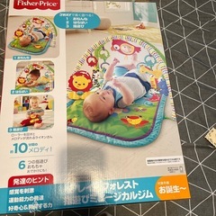フィッシャープライス(fisher price) レインフォレスト指遊びミュージカルジム 【0カ月~】【知育玩具】【布おもちゃ】CHP85の画像