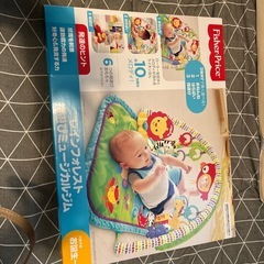 フィッシャープライス(fisher price) レインフォレス...