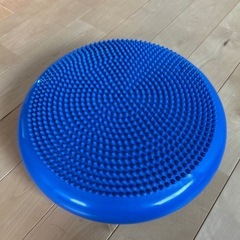 バランスディスクの画像