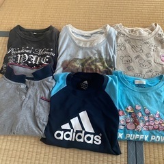 男児 夏服 半ズボン セットの画像