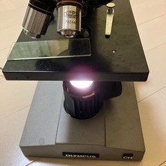 OLYMPUS 顕微鏡の画像