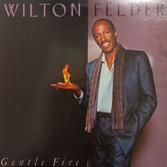 スティックス・フーパー/Stix Hooper　ウィルトン・フェルダー/Wilton Felder　LPレコードセット　ザ・クルセイダーズの画像