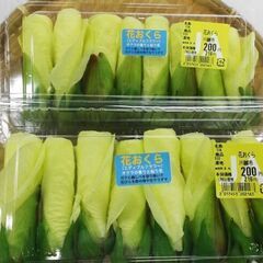 「花おくら」売っているところ、または育てている方で売ってくれる方...