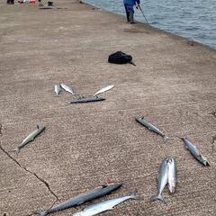 釣り仲間探してます。 − 長野県