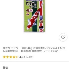 鯉の餌　ひかりデイリー