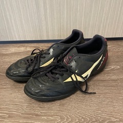 ❗️無料❗️26cmシューズ