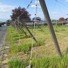 コンクリート製支柱の画像