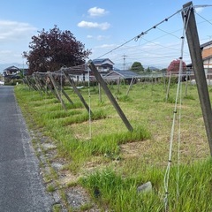 コンクリート製支柱の画像