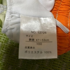 水着　100の画像