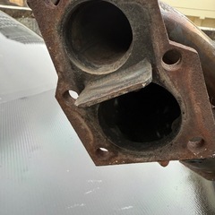 ウエストゲーターの画像