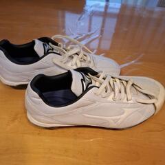 野球　スパイクとベルトの画像