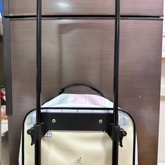 4/18~4/20週末限定価格✨️サンリオキャラクター 小型キャリーケースの画像