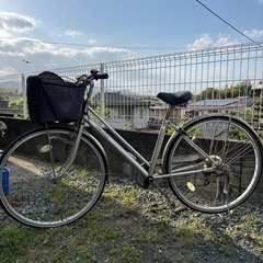 決定‼️自転車