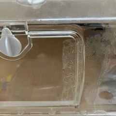 ハムスター飼育グッツ　* 破損ありの画像