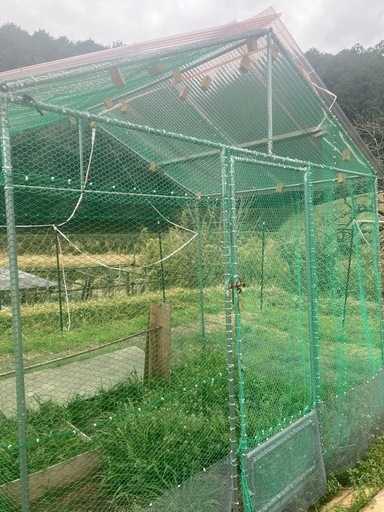 鶏小屋2×3メートル