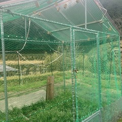 鶏小屋2×3メートルの画像