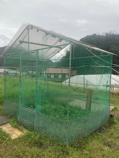 鶏小屋2×3メートル