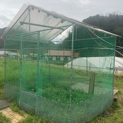 鶏小屋2×3メートルの画像