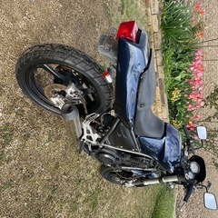 SRX250 売りきりです。早い者勝ちで行きますの画像