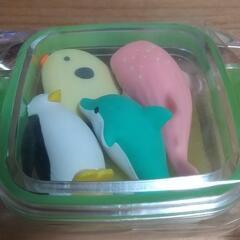 生き物消しゴム   ケース入りの画像