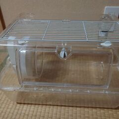 ハムスター飼育セット