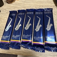 ヤナギサワ　アルトサックス付属写真用の画像