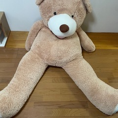 コストコ　クマ　無料　4月15日まで
