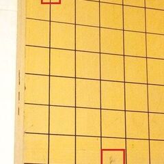 [4月末迄掲載予定] 囲碁セット(折り畳み式囲碁盤と碁石２セット)の画像