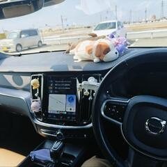 ボルボ V60 T5  全ネットでも最安値の画像