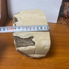 木の化石ですの画像