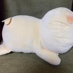 んぽちゃむ きみまろ マスコットとぬいぐるみの画像