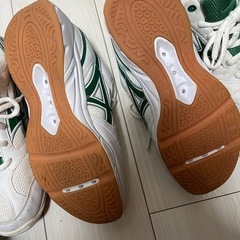 体育館シューズ　室内履きの画像