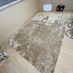 カーペットの画像