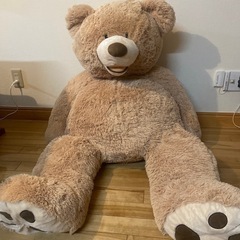 くまぬいぐるみ　コストコ