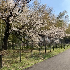 化学のオンライン指導をお願いします（高校範囲）