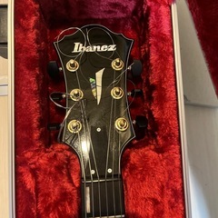Ibanez AFC-151の画像