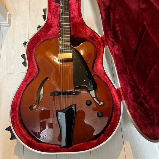 弦楽器、ギター Ibanez AFC-151