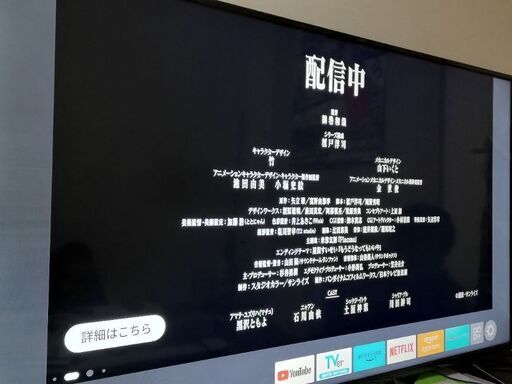 IRISOHYAMAアイリスオーヤマ55UB10P地上BS110度CSデジタル4K対応 IRISOHYAMAアイリスオーヤマ55UB10P地上BS110度CSデジタル4K対応