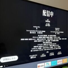 IRIS　OHYAMA　アイリスオーヤマ　55UB10P　地上B...