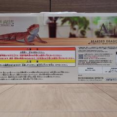 一番くじ 爬虫類＆両生類～Tiny Friends～の【Ａ賞】フトアゴヒゲトカゲ フィギュアの画像