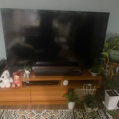 SONYブラビア