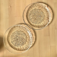 イッタラ　ウルティマツーレ　プレート　クリア　19cm　2点　セ...